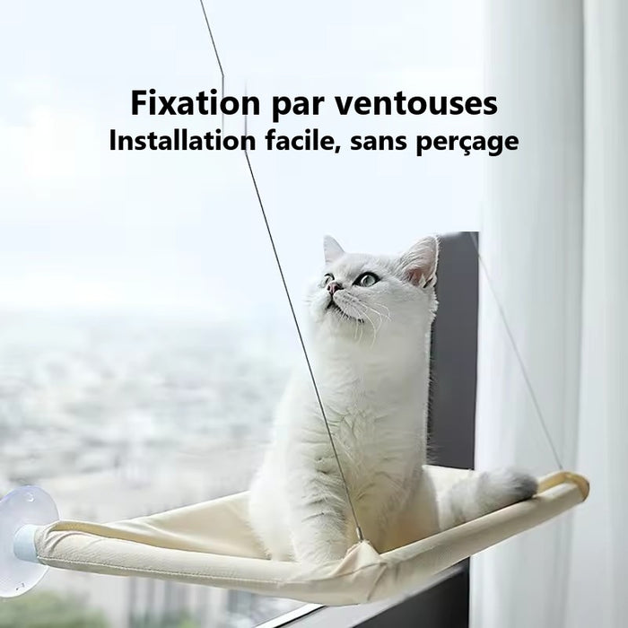 Hamac de fenêtre pour chat fixé par ventouses