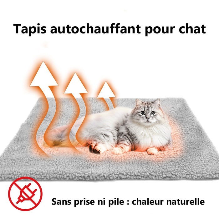 Tapis autochauffant pour chat sans prise ni pile